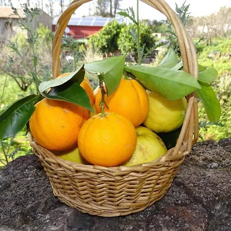 Finca Cabana Rural Apartman *